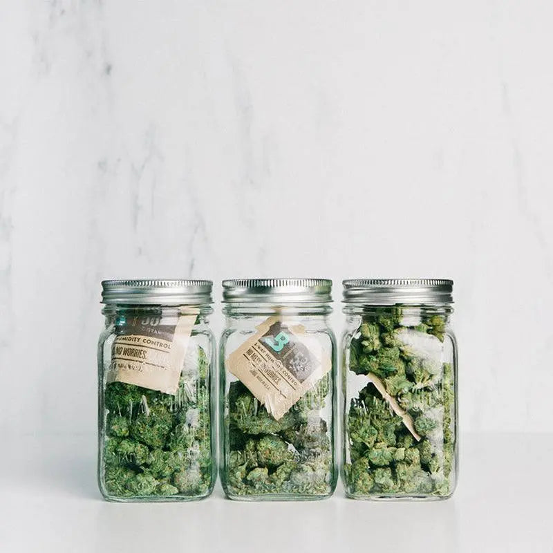 Boveda 62% Humidity Control Pack 8g-