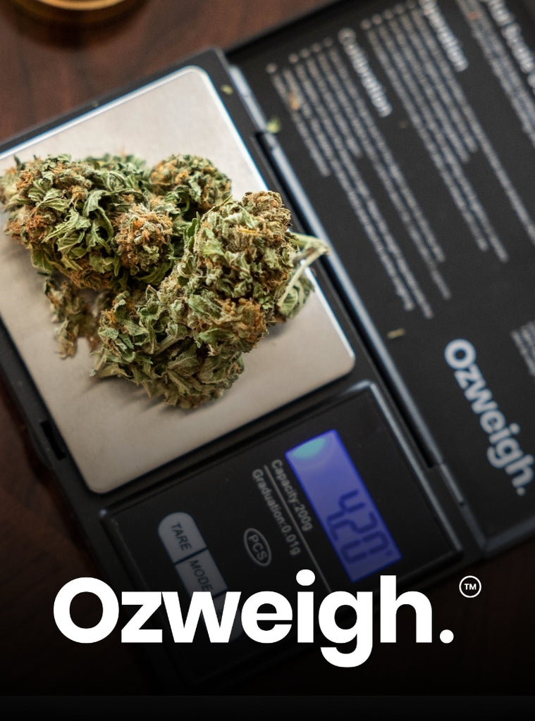 Shop OzWeigh Digital Scales
