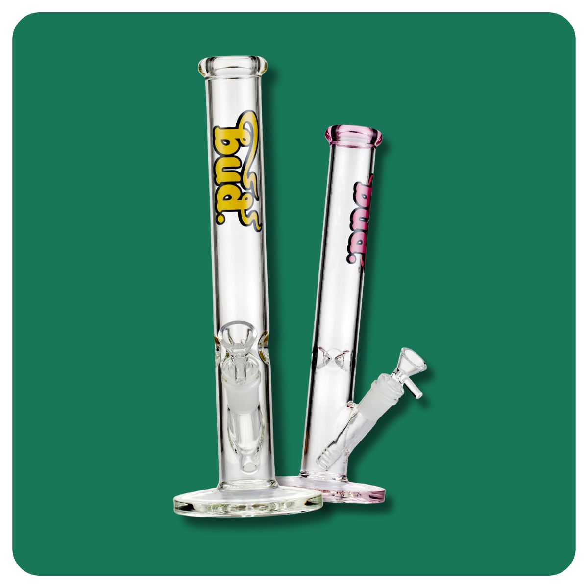 Two Bud straight tube glass bongs