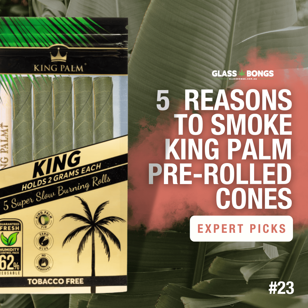 5 Reasons To Smoke King Palm Pre-Rolled Cones - Glass Bongs Australia