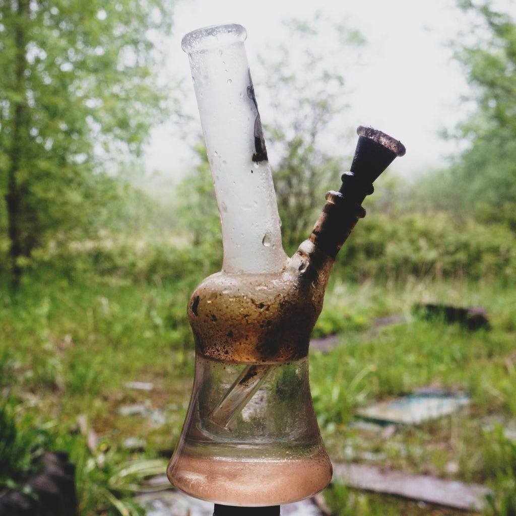 Can Bongs Get Mouldy?