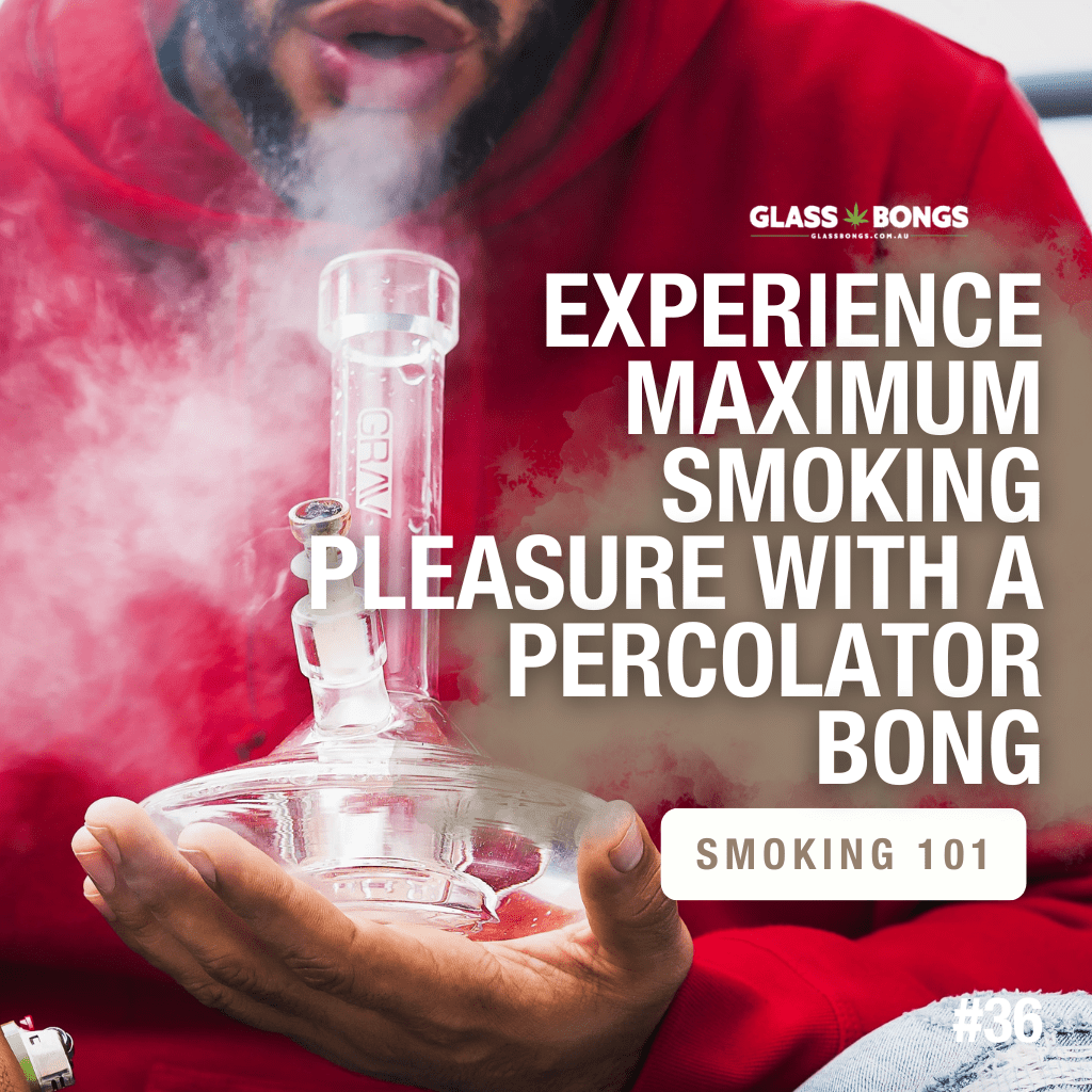 Experience Maximum Smoking Pleasure With A Percolator Bong