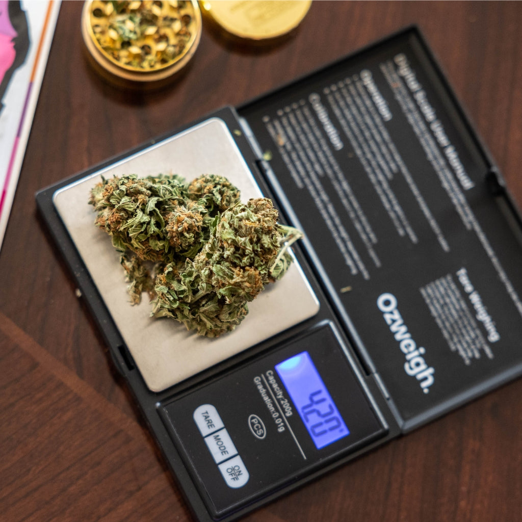 Weigh Up The Benefits Of A Cannabis Digital Scale - Glass Bongs Australia