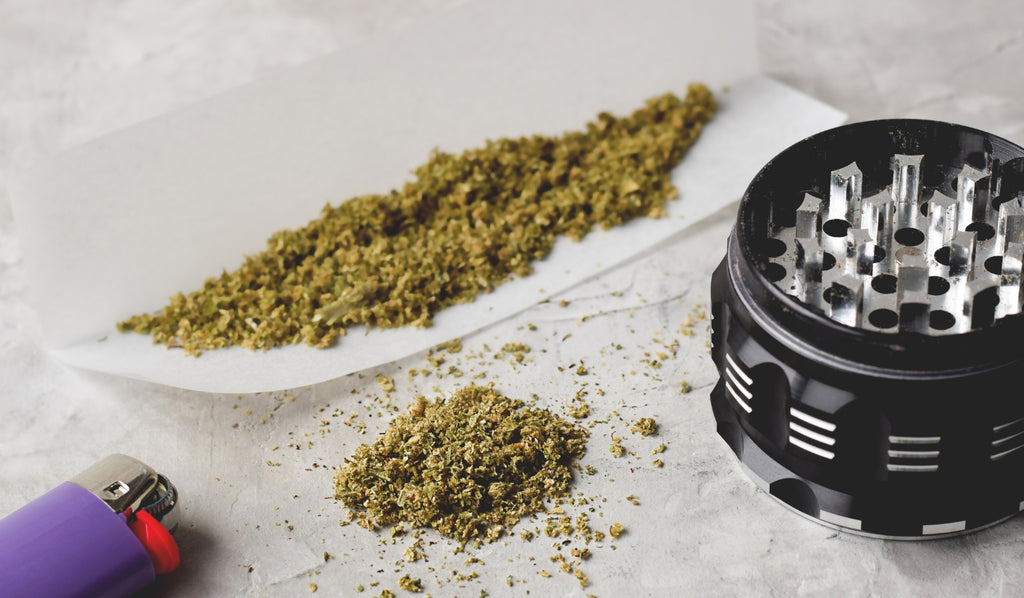 A grinder and a rolling paper with ground cannabis inside
