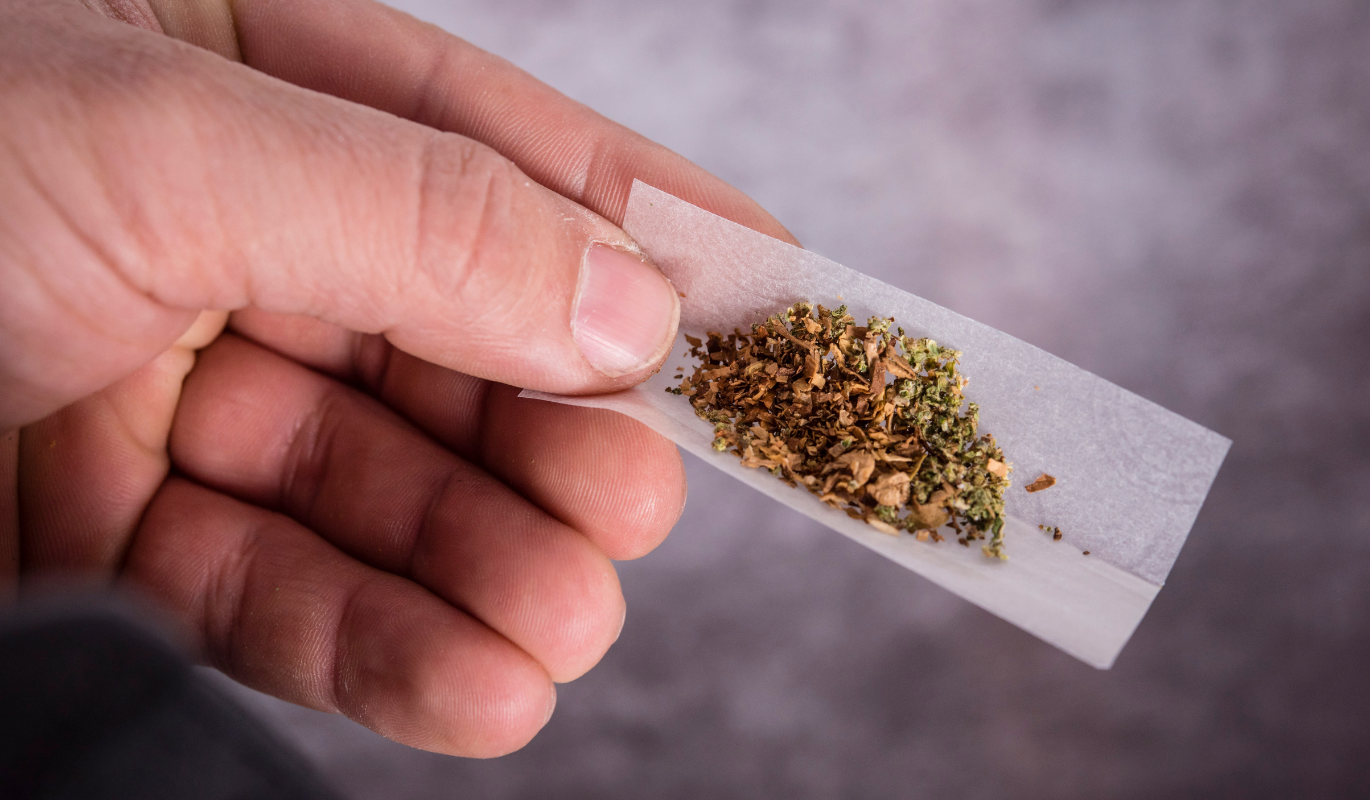 A hand holding a rolling paper filled with ground cannabis
