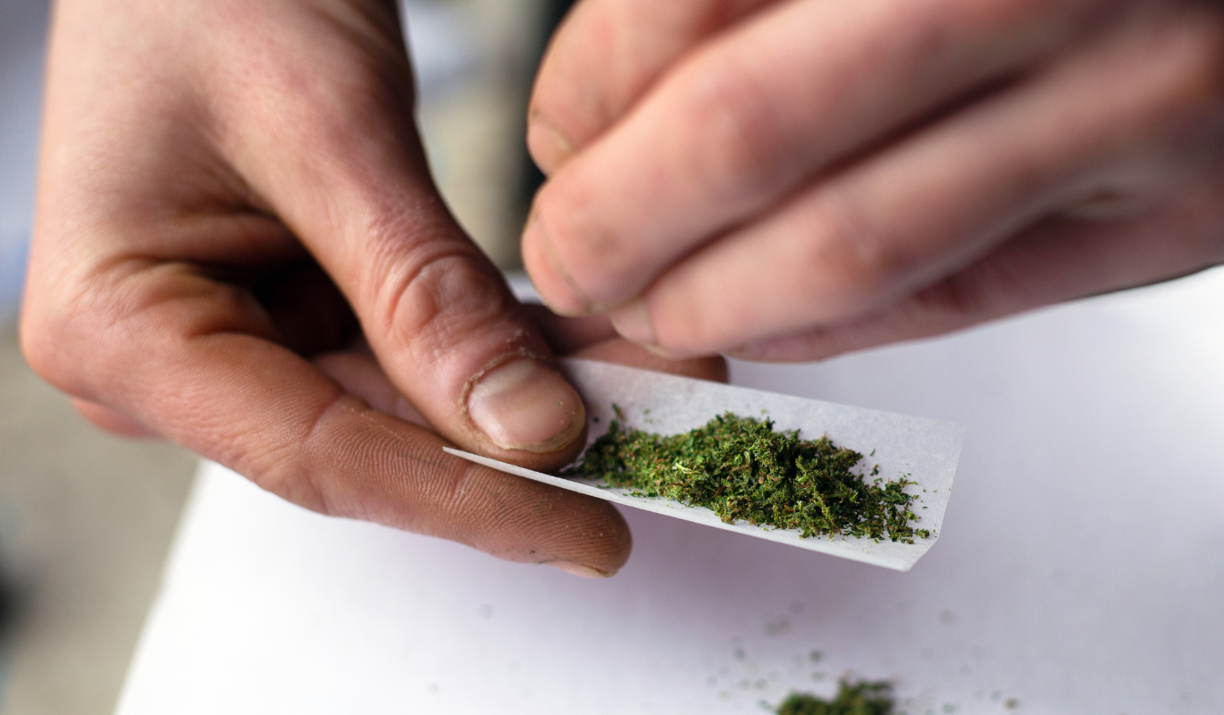 A person preparing a joint by dropping ground cannabis inside of it