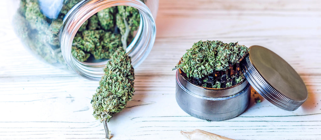 Cannabis buds and metal grinder