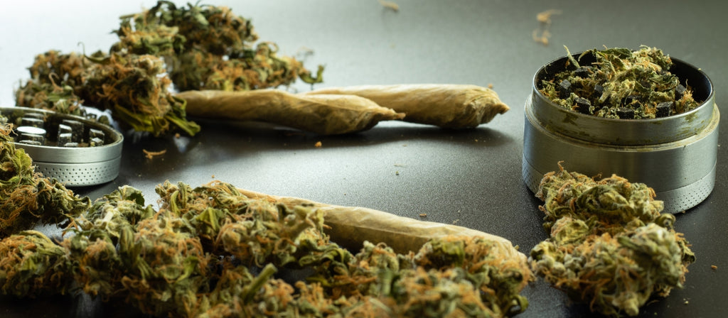 Cannabis alongside a weed grinder