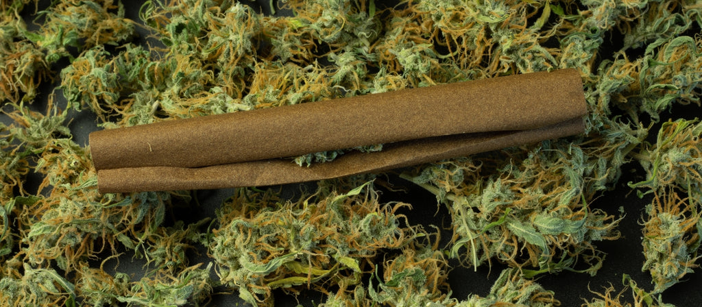 Cannabis blunt paper