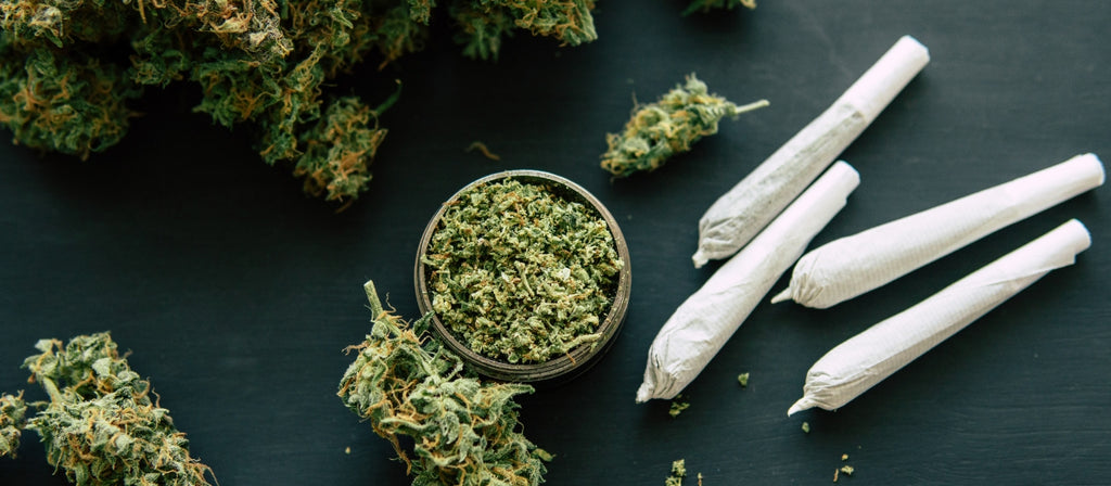 Cannabis buds in a grinder