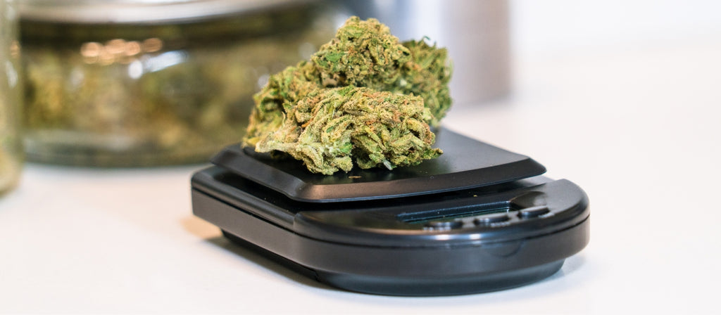 Cannabis buds on a black digital scale