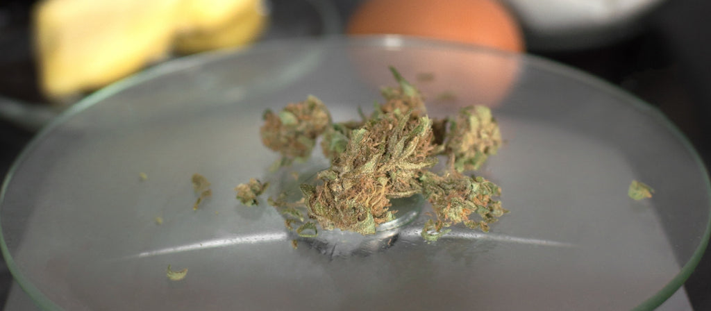 Cannabis buds on glass digital scale