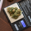 A digital scale with cannabis buds on top