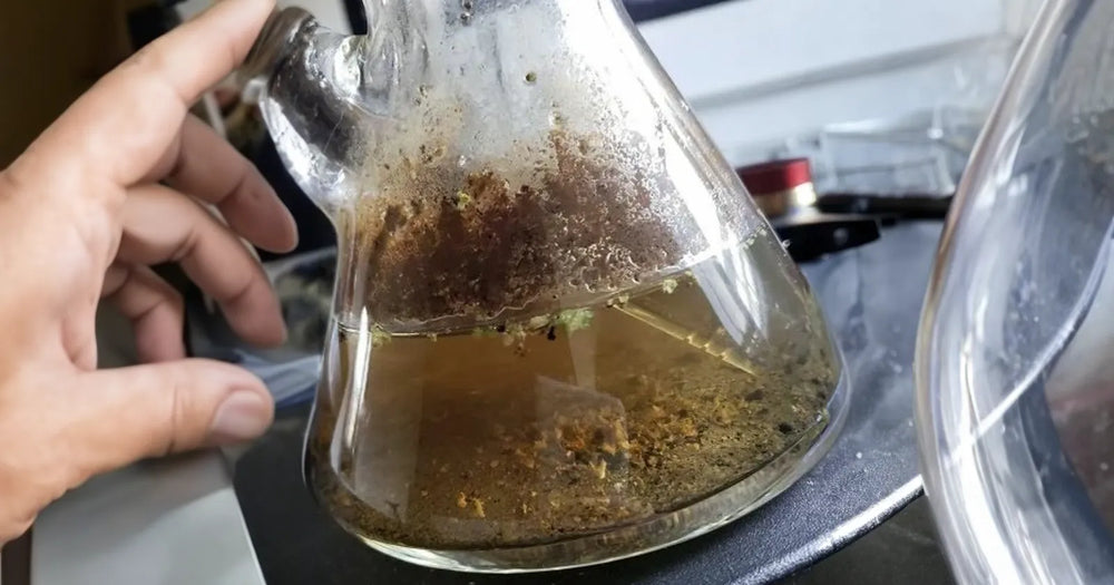 How To Clean A Bong: Step-By-Step Guide for a Sparkling Water Pipe