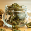 A glass storage jar filled with cannabis buds