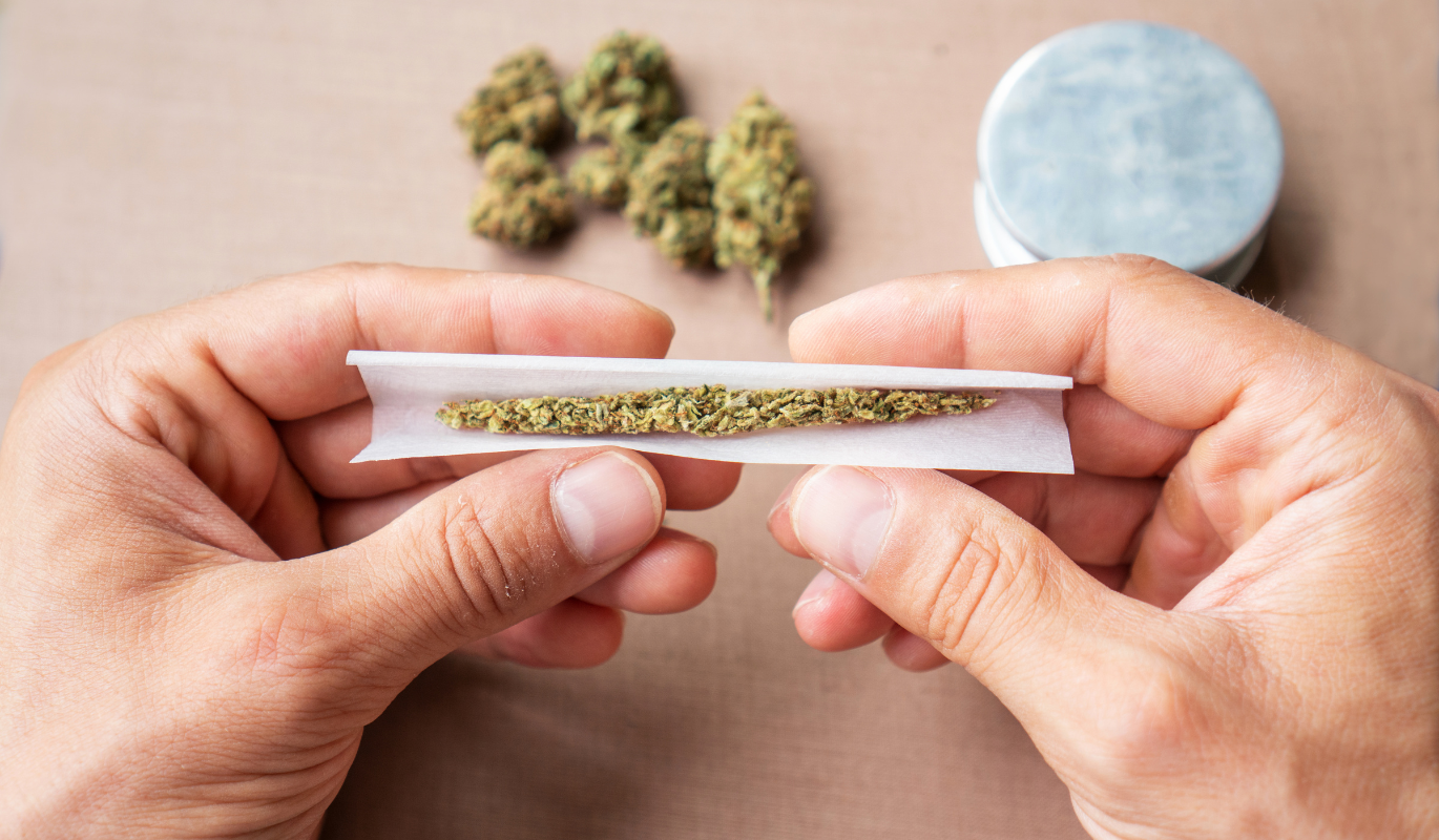 Two hands rolling a joint with cannabis buds in the background