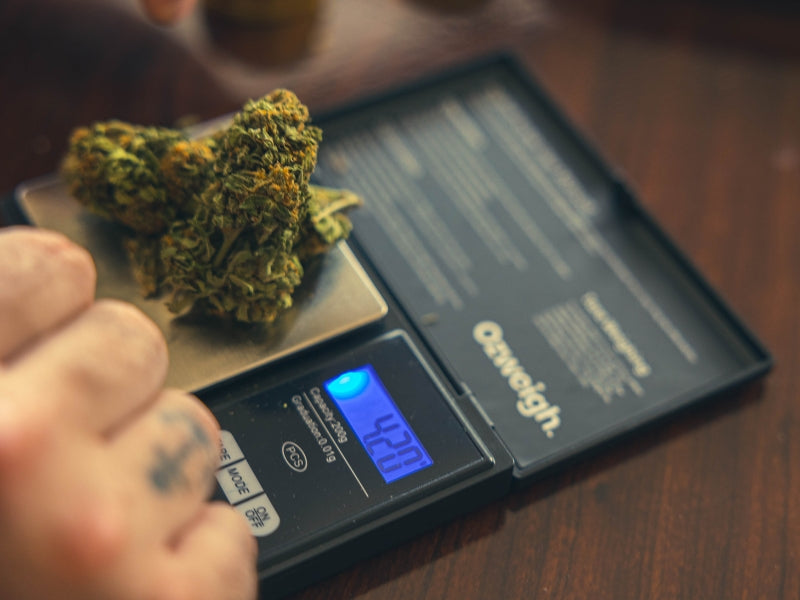 Weigh Up The Benefits Of A Cannabis Digital Scale