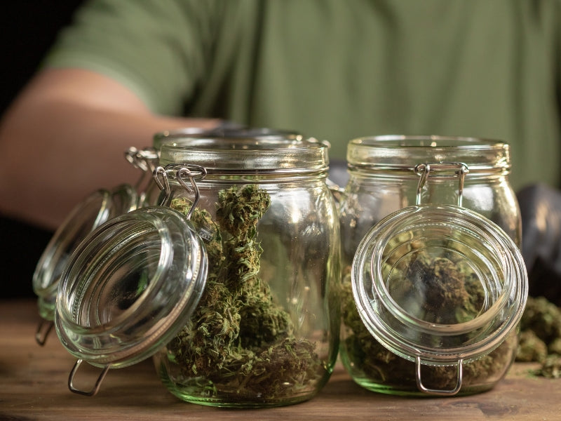Cannabis Stored In Glass Jars